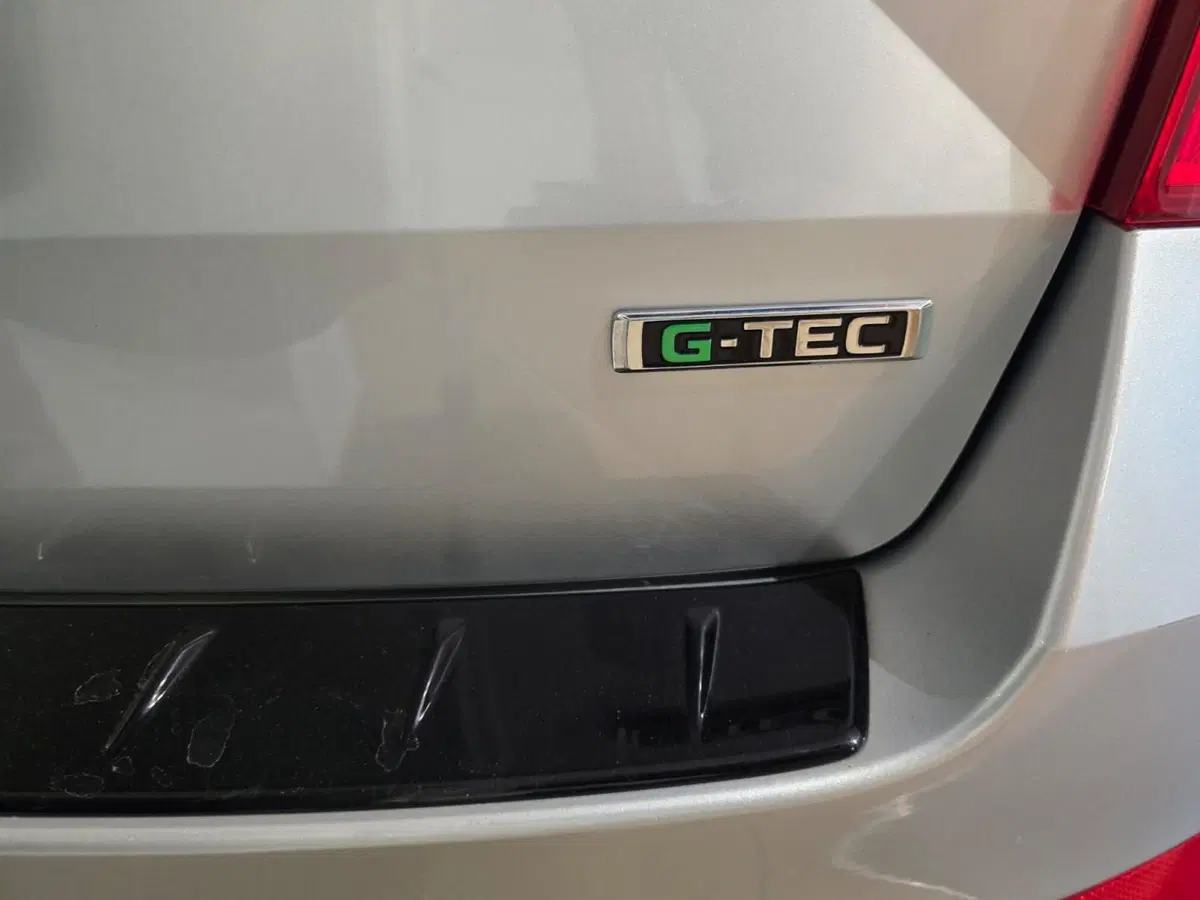 Skoda Octavia Station Wagon usata a Rimini (6)
