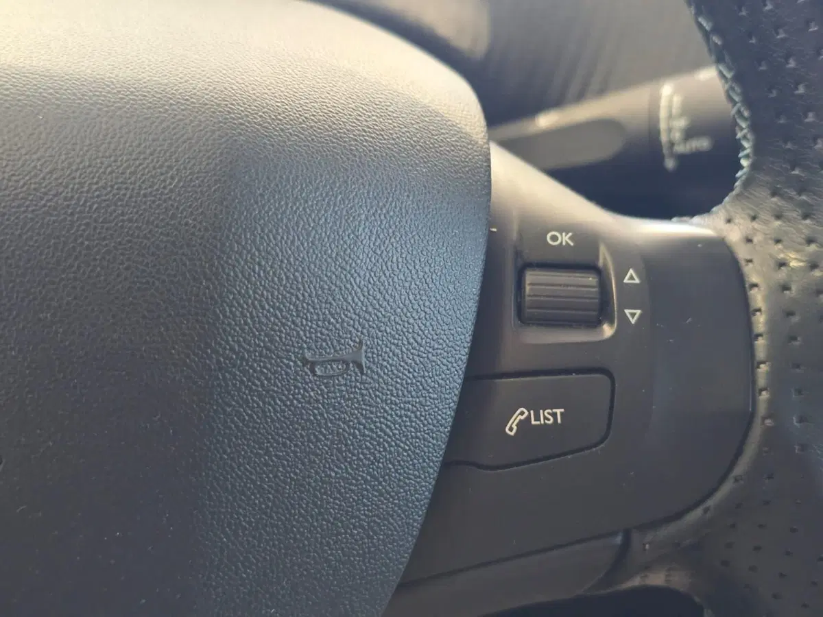 Peugeot 2008 usata a Rimini (19)
