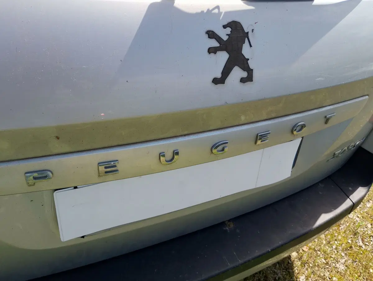 Peugeot 308 SW usata a Ravenna (20)