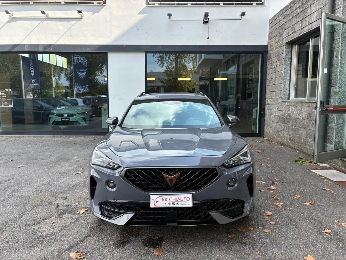 Cupra Formentor usata a Monza e Brianza (5)