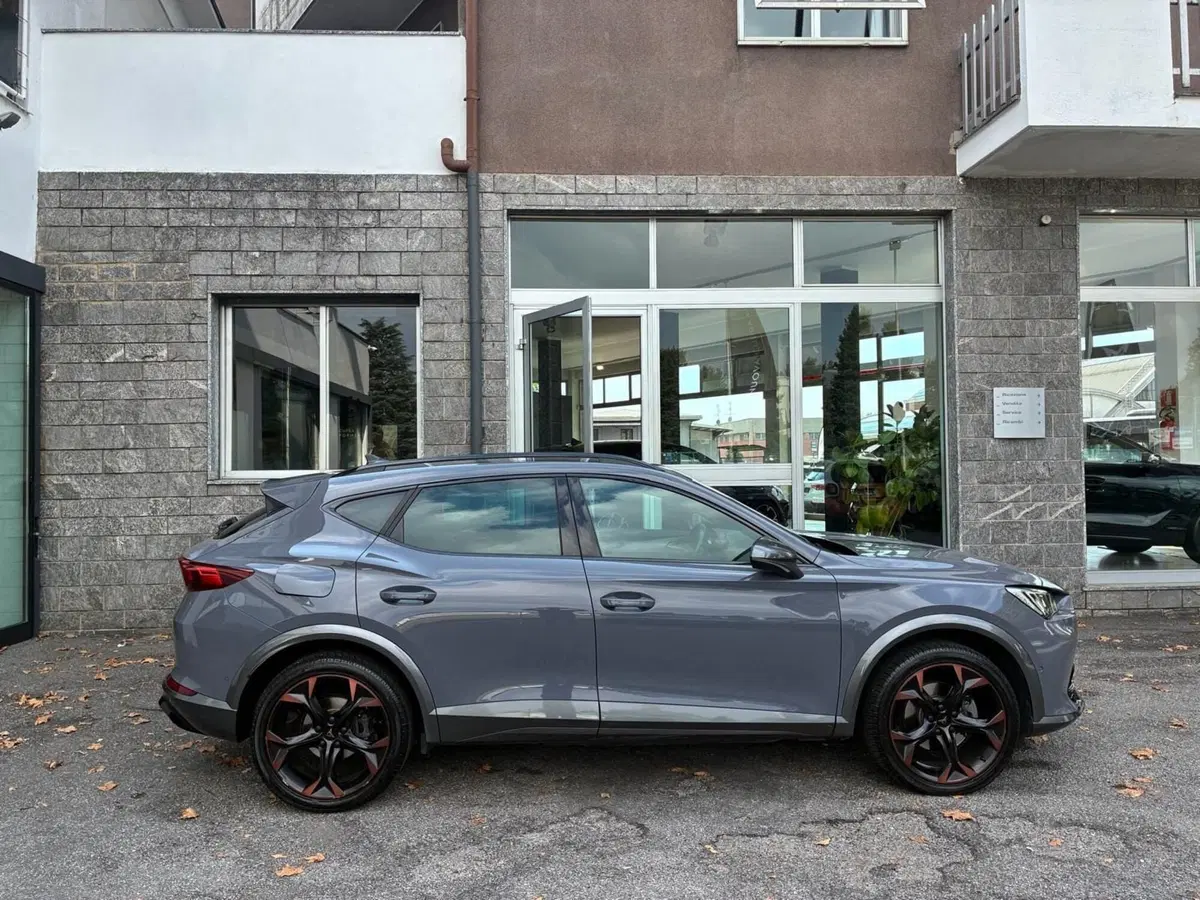 Cupra Formentor usata a Monza e Brianza (6)