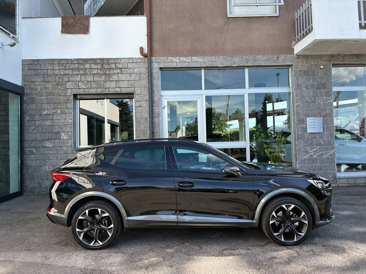 Cupra Formentor usata a Monza e Brianza (6)