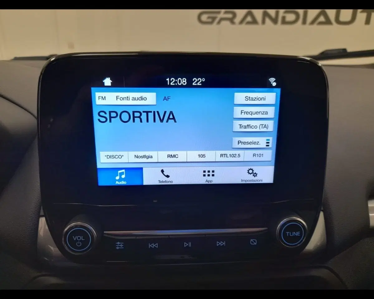 Ford EcoSport usata a Alessandria (10)