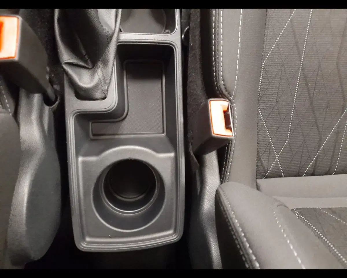 Ford EcoSport usata a Alessandria (15)