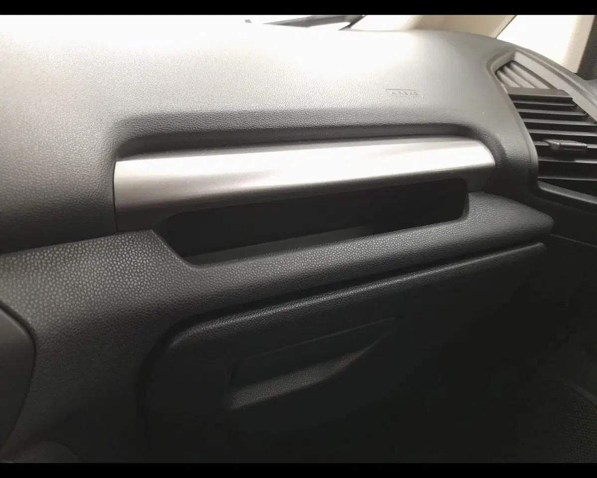 Ford EcoSport usata a Alessandria (19)