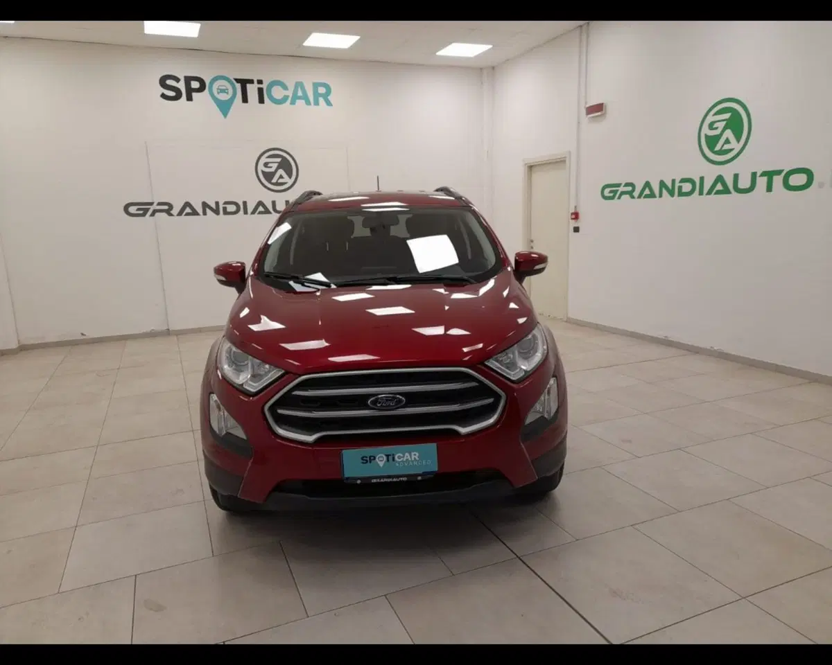 Ford EcoSport usata a Alessandria (7)