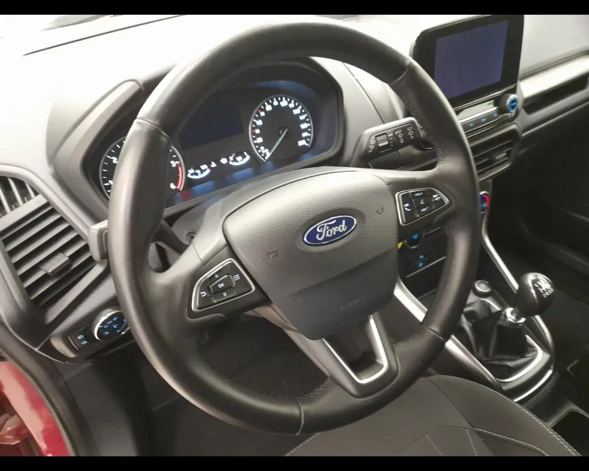 Ford EcoSport usata a Alessandria (8)