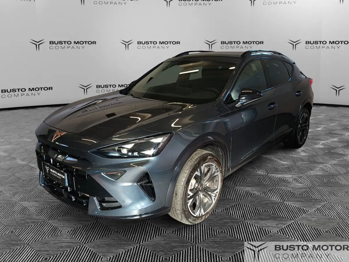 Cupra Formentor usata a Varese (3)