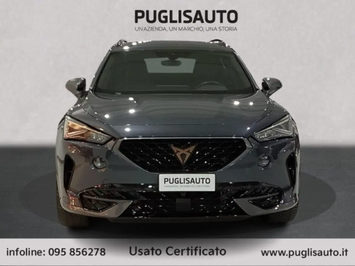 Cupra Formentor usata a Catania (2)