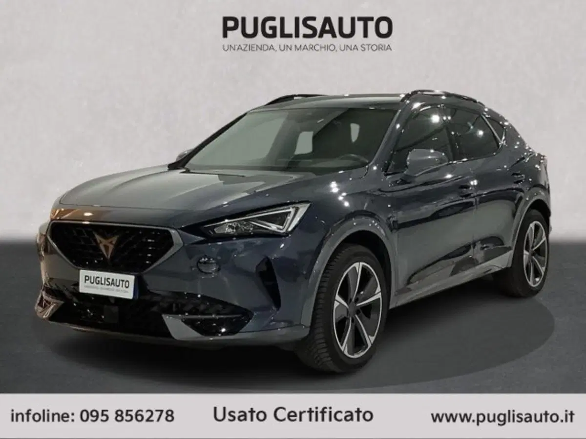 Cupra Formentor usata a Catania (3)