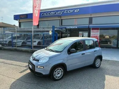Fiat Panda 1.0 FireFly S&S Hybrid City Cross del 2022 usata a Abbiategrasso