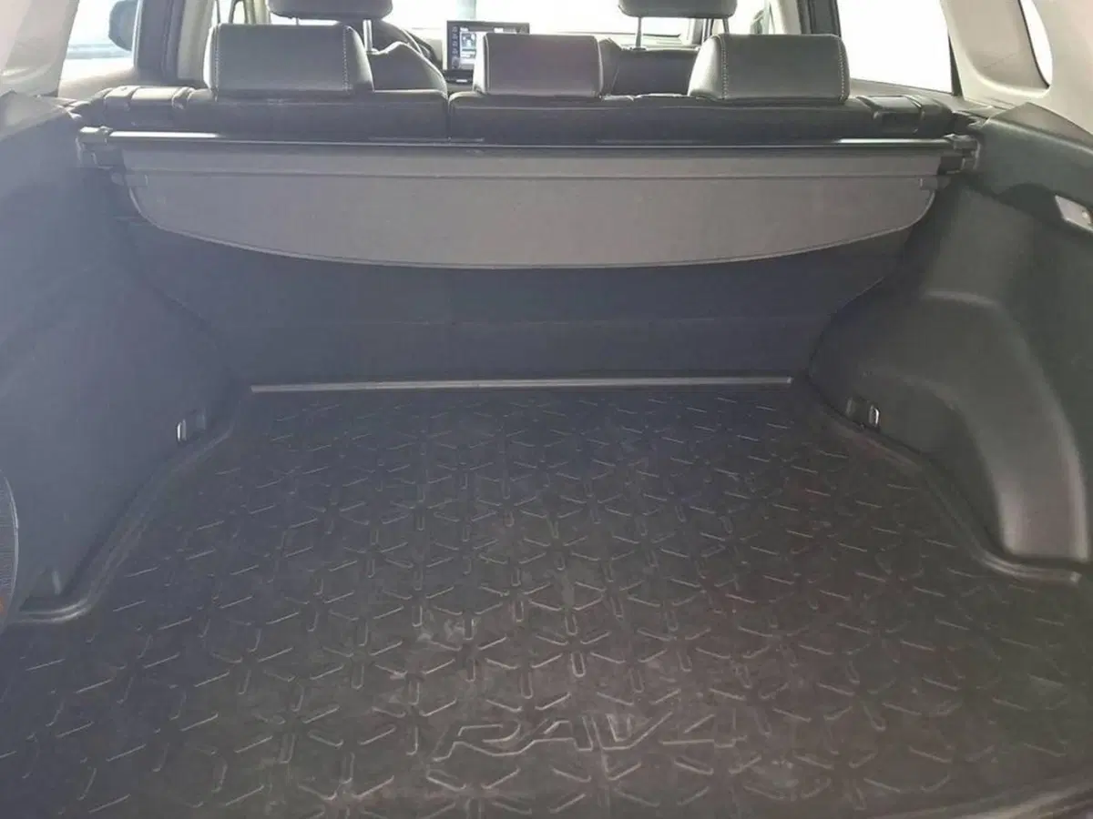 Toyota Rav4 usata a Torino (15)