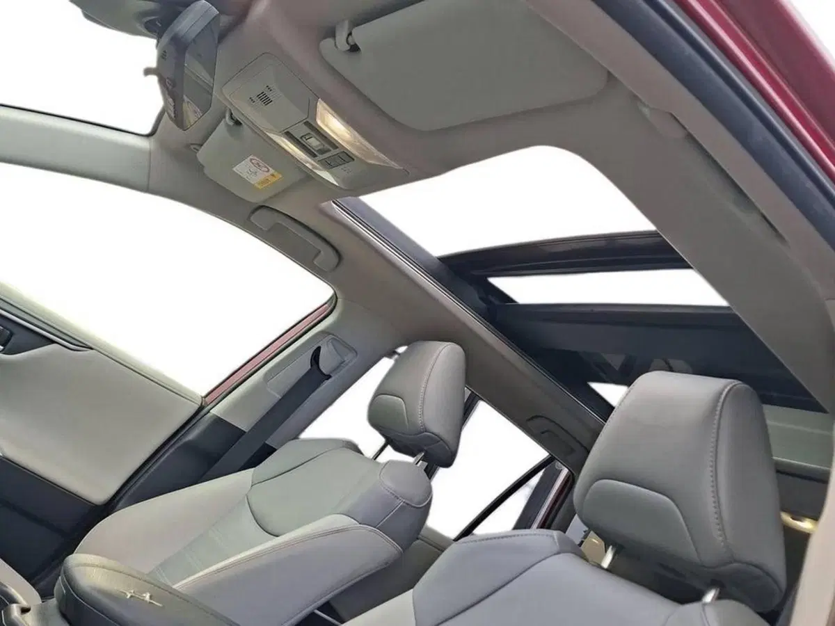 Toyota Rav4 usata a Torino (12)