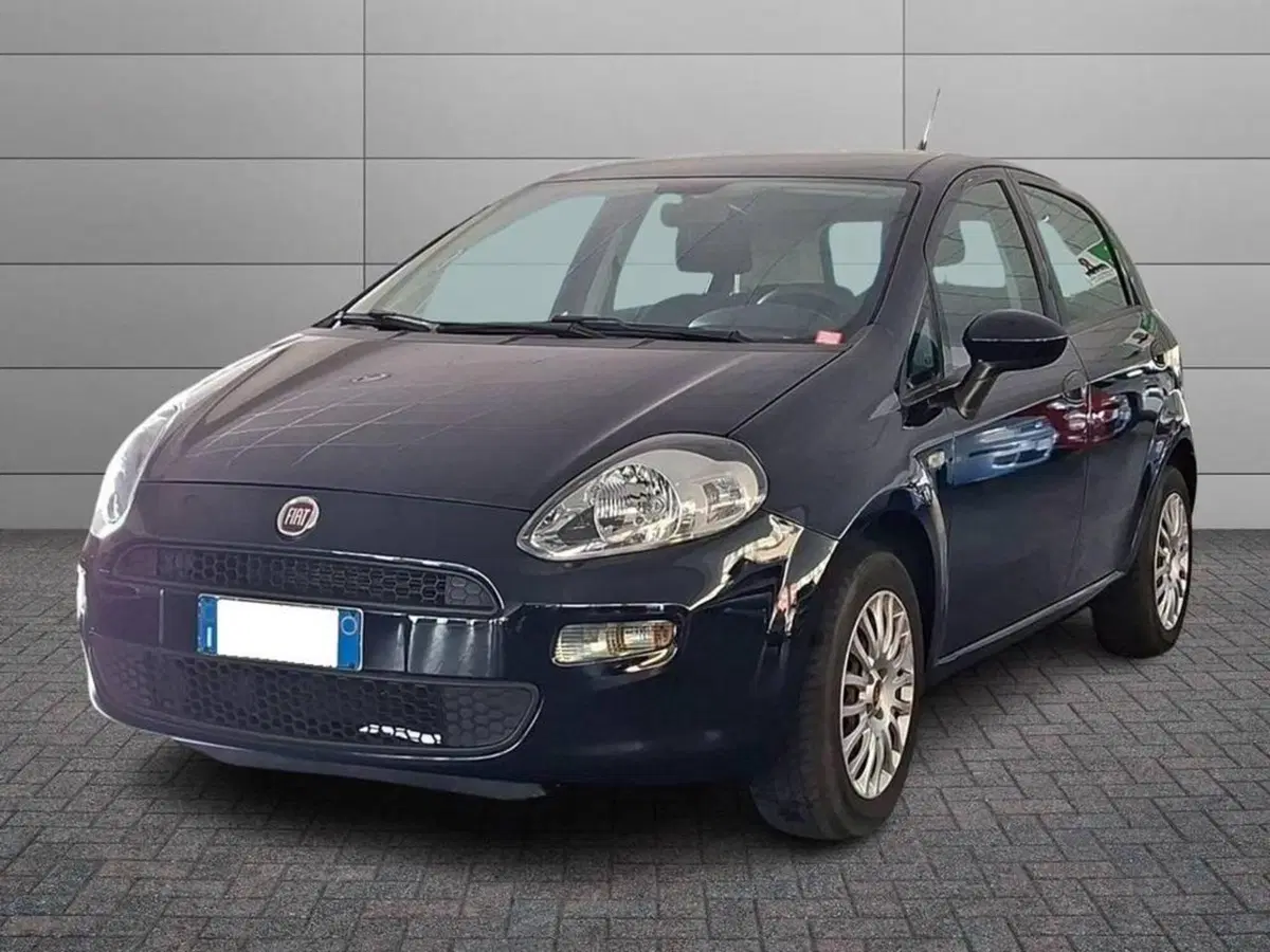 Fiat Punto usata a Torino