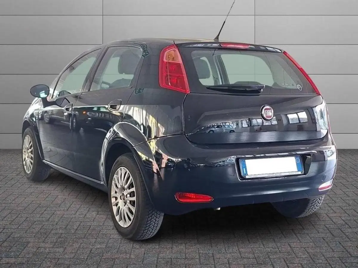 Fiat Punto usata a Torino (2)