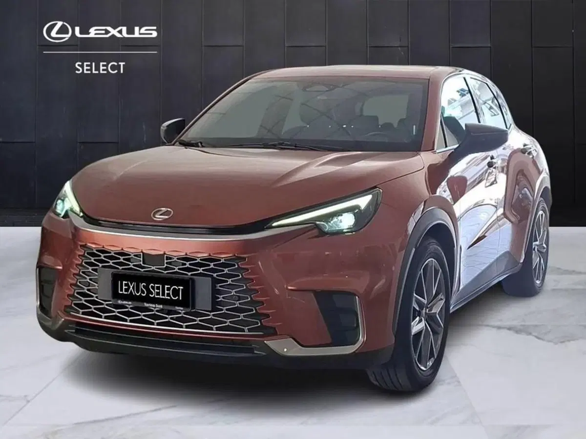 Lexus LBX usata a Torino