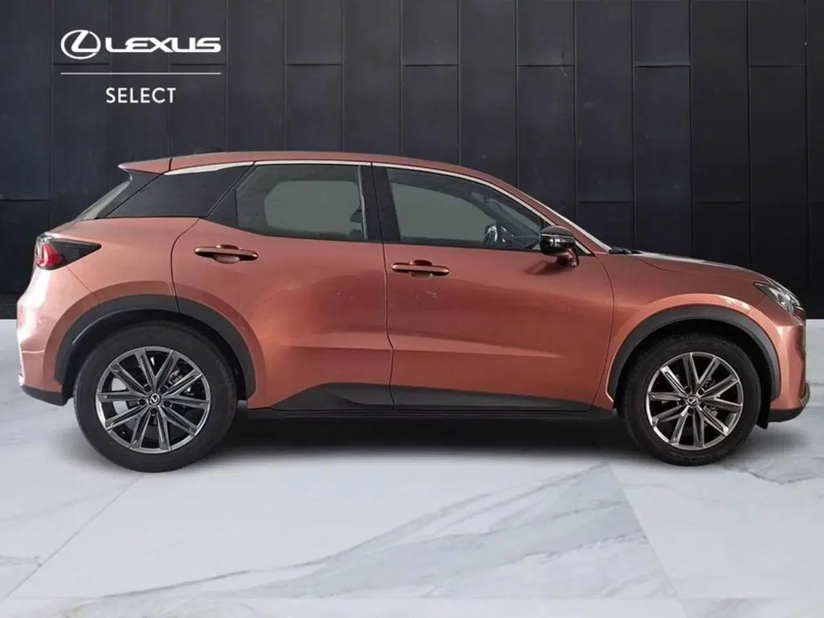 Lexus LBX usata a Torino (4)