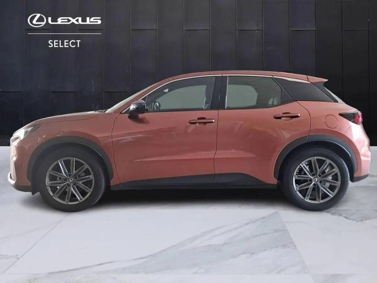 Lexus LBX usata a Torino (5)