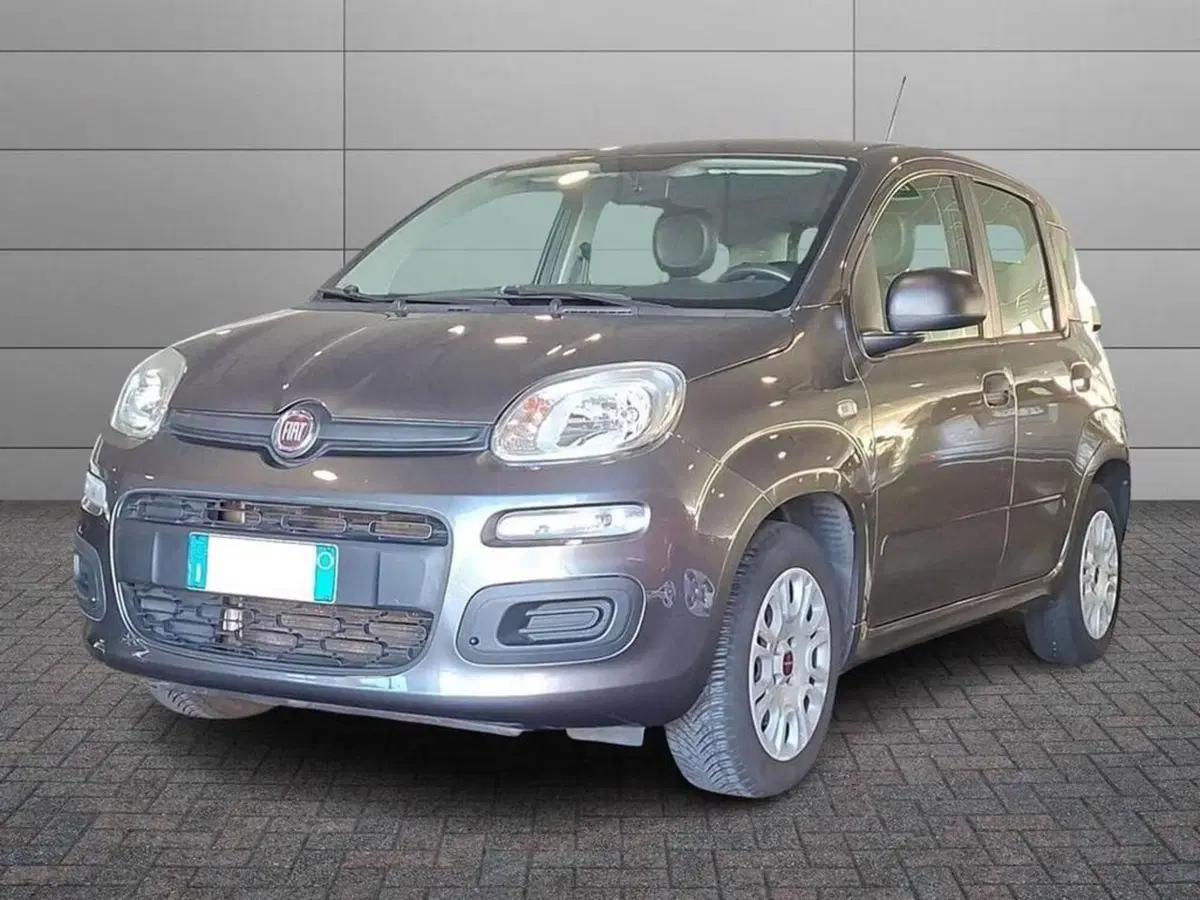 Fiat Panda usata a Torino
