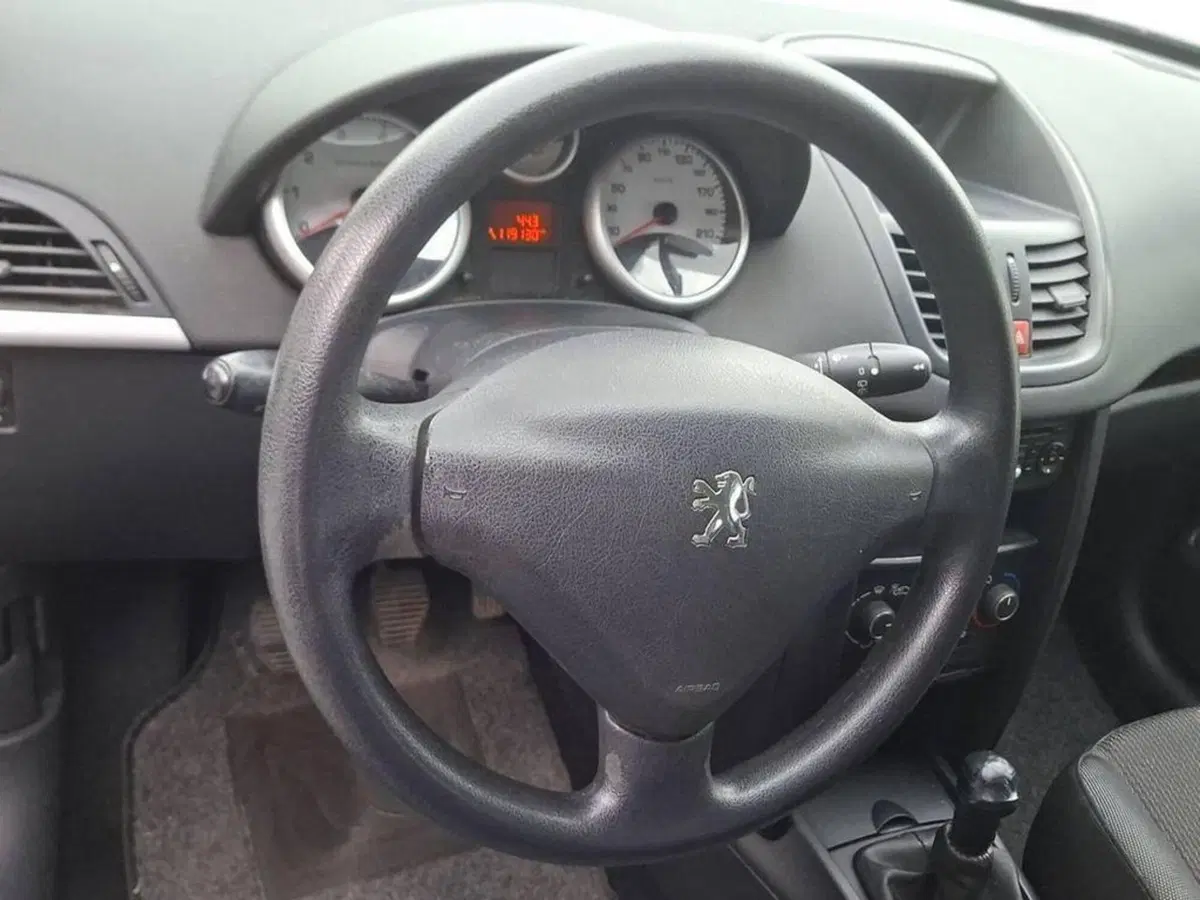 Peugeot 207 usata a Torino (10)