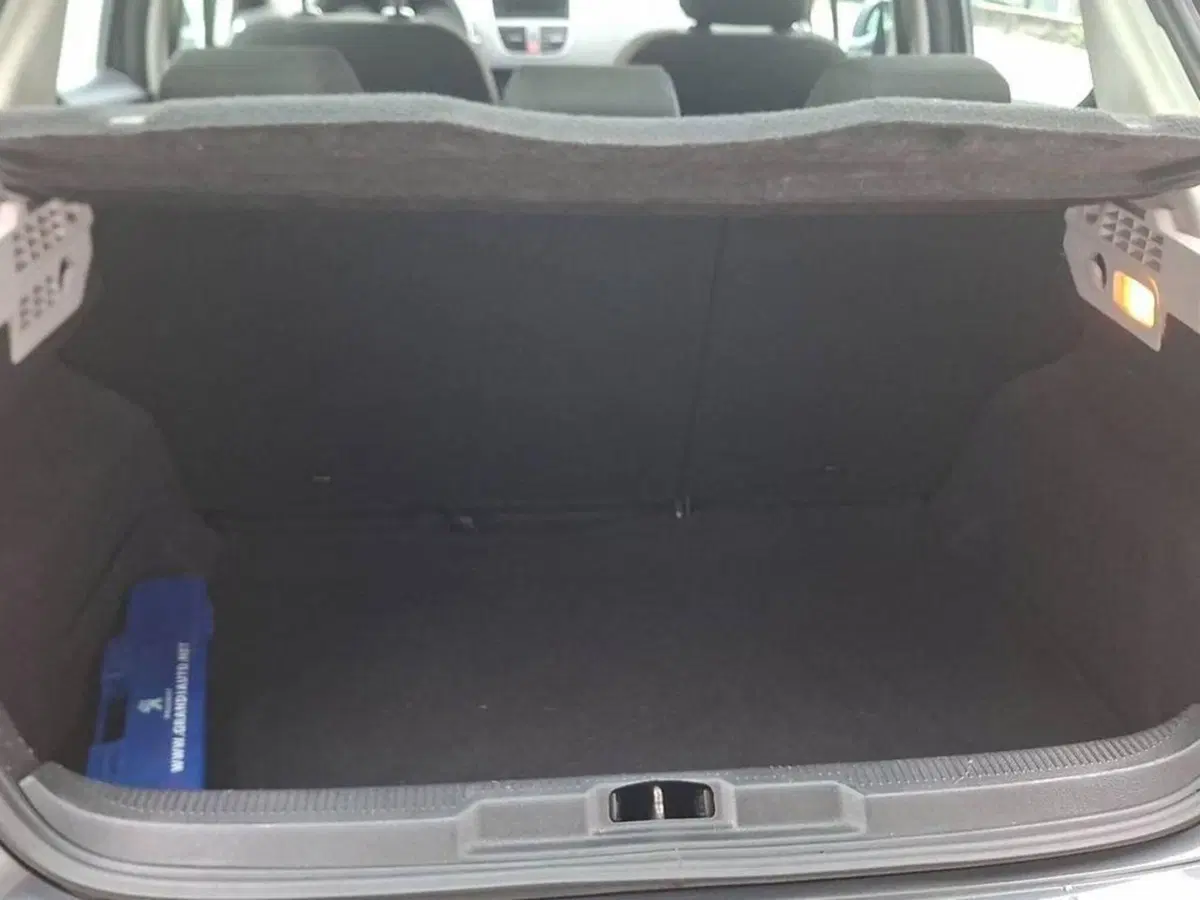 Peugeot 207 usata a Torino (12)