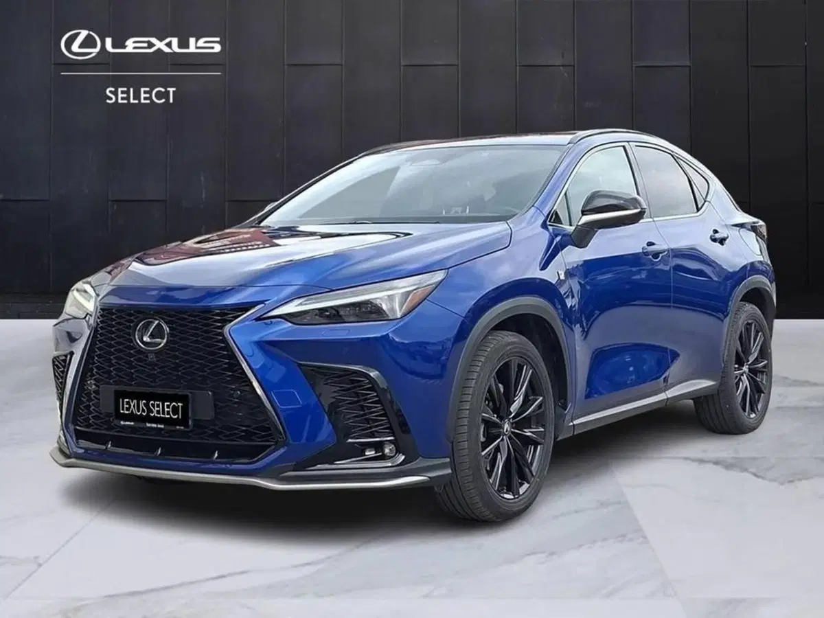 Lexus NX usata a Torino