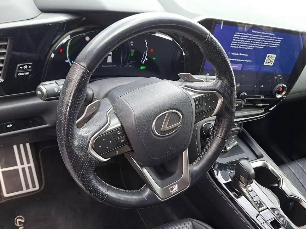 Lexus NX usata a Torino (10)