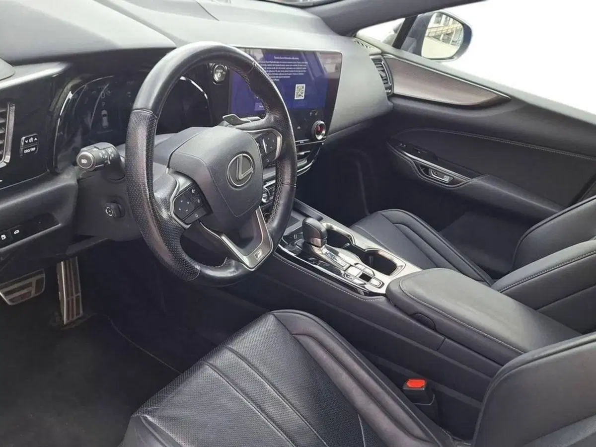 Lexus NX usata a Torino (11)