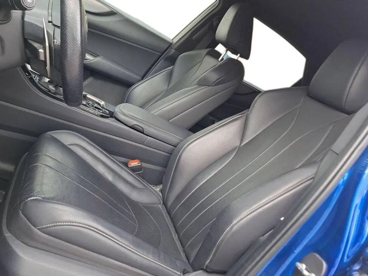 Lexus NX usata a Torino (12)