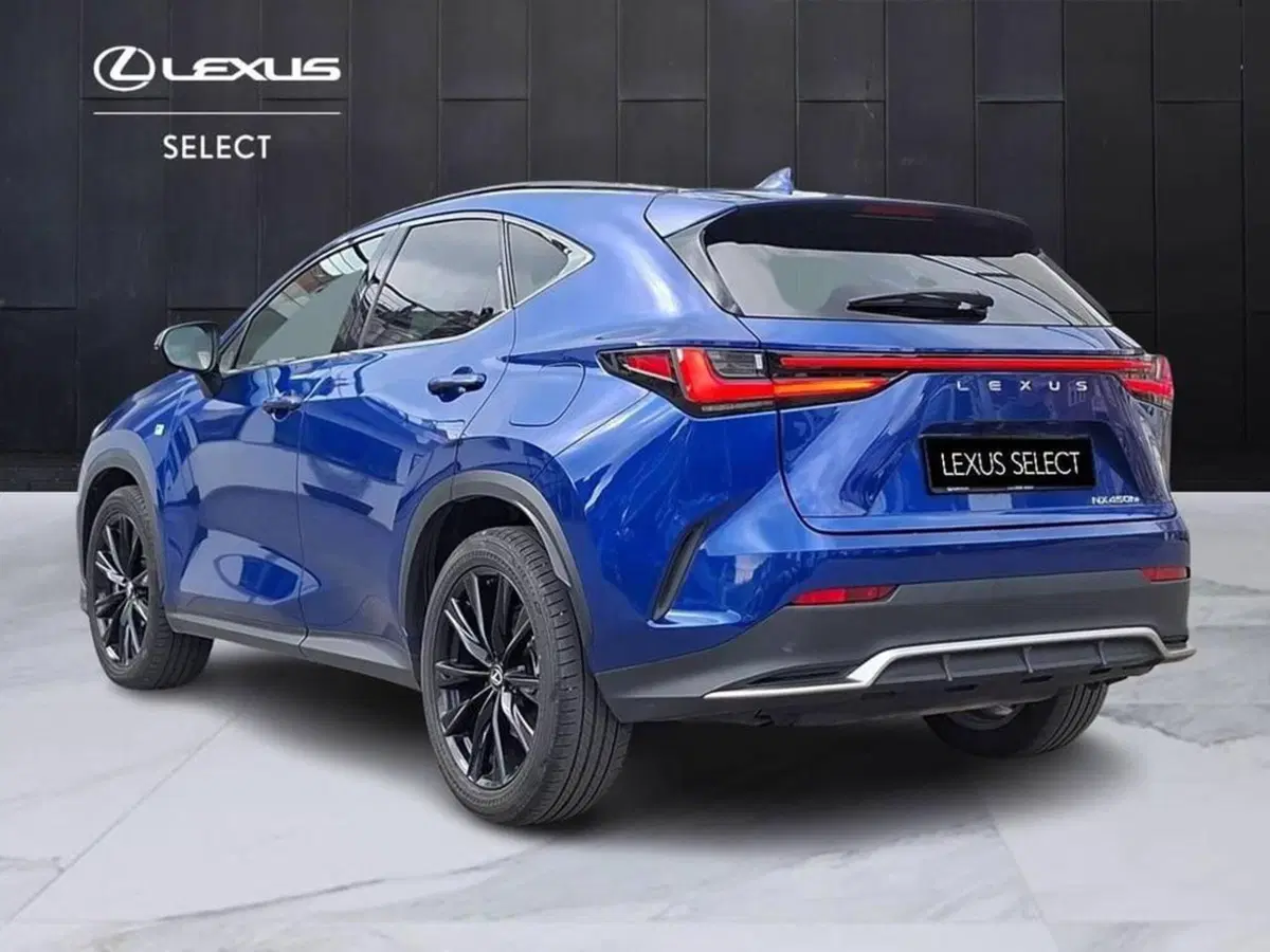 Lexus NX usata a Torino (2)