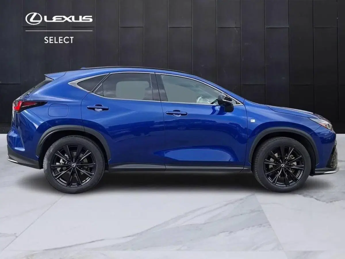 Lexus NX usata a Torino (3)