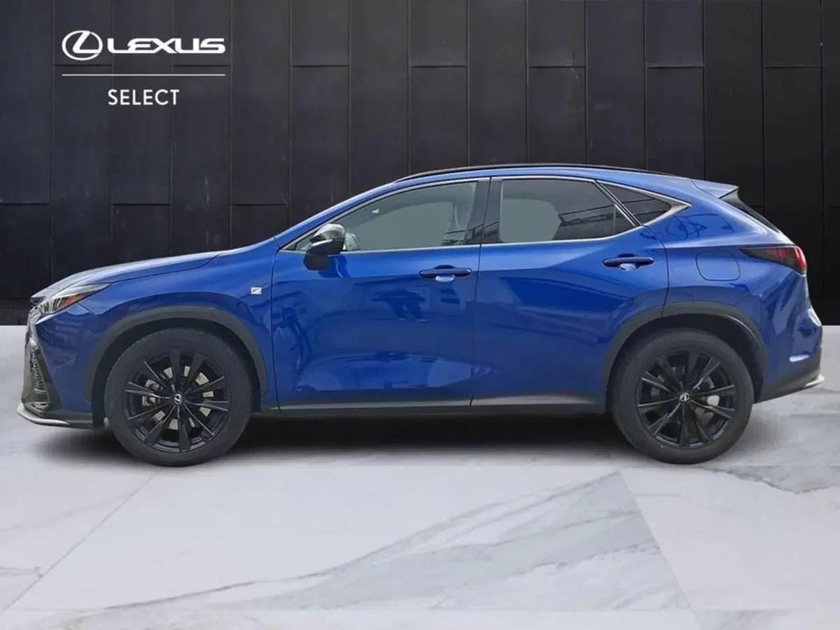 Lexus NX usata a Torino (4)