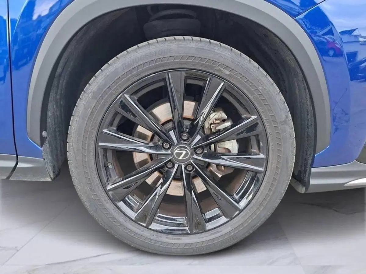 Lexus NX usata a Torino (5)