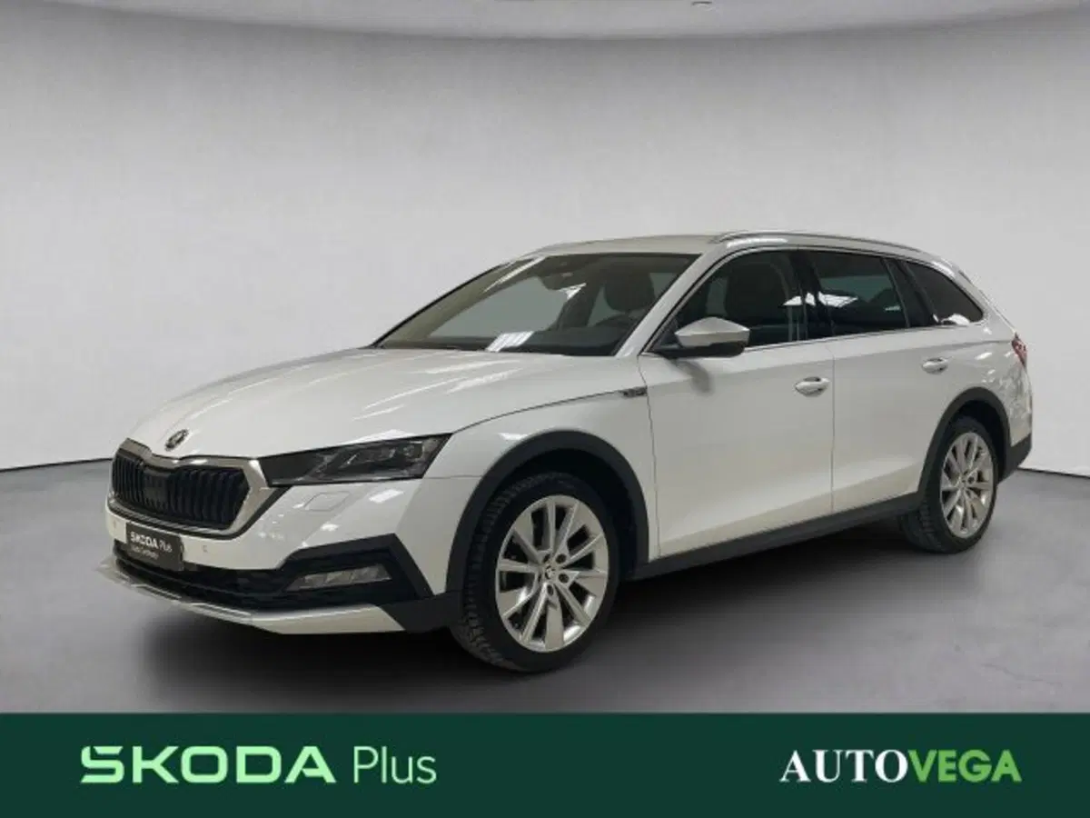 Skoda Octavia Station Wagon usata a Vicenza