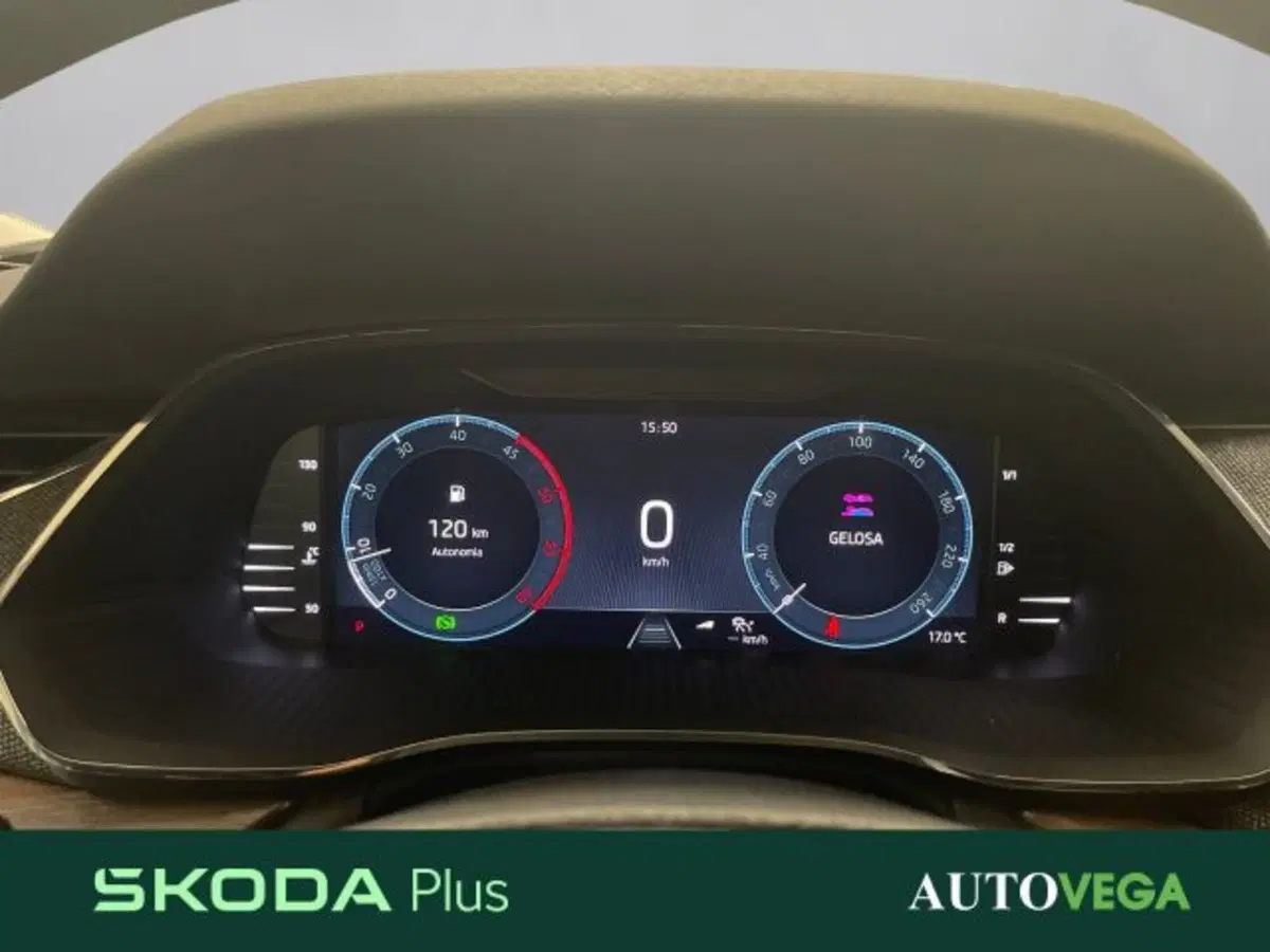 Skoda Octavia Station Wagon usata a Vicenza (14)