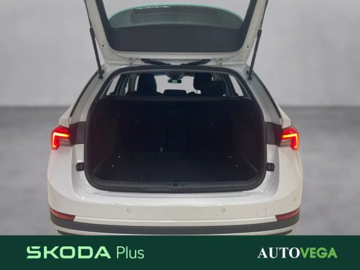 Skoda Octavia Station Wagon usata a Vicenza (17)