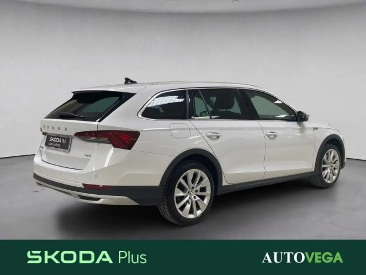 Skoda Octavia Station Wagon usata a Vicenza (4)