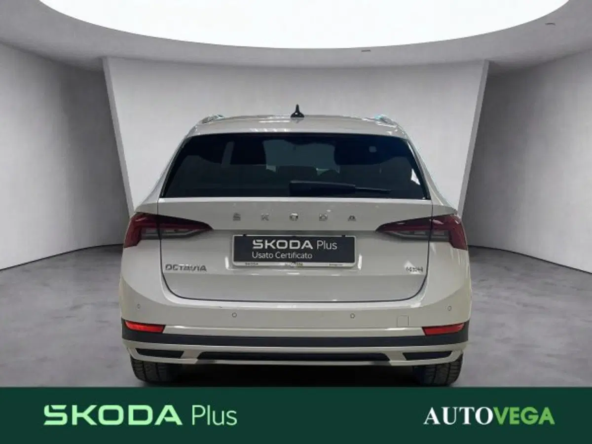 Skoda Octavia Station Wagon usata a Vicenza (5)