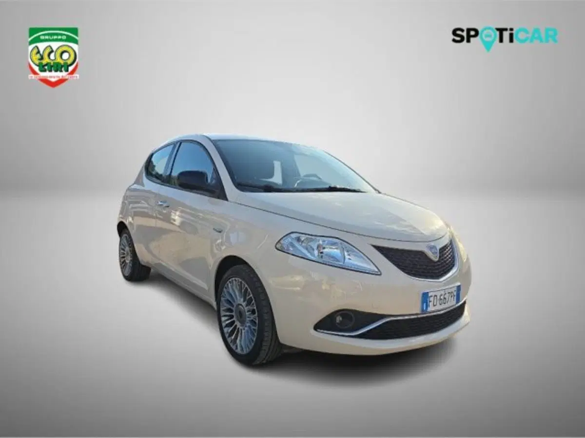 Lancia Ypsilon usata a Frosinone (15)