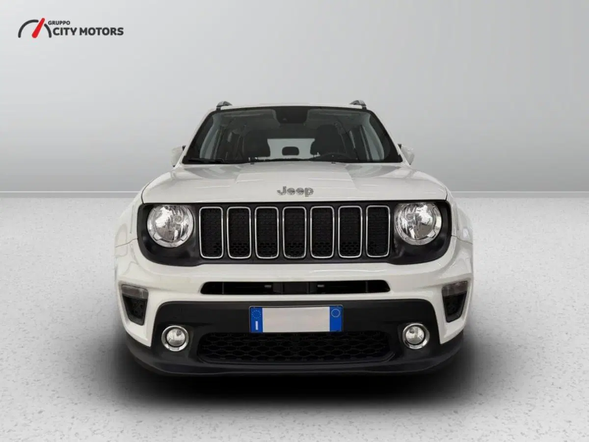 Jeep Renegade usata a Monza e Brianza (2)