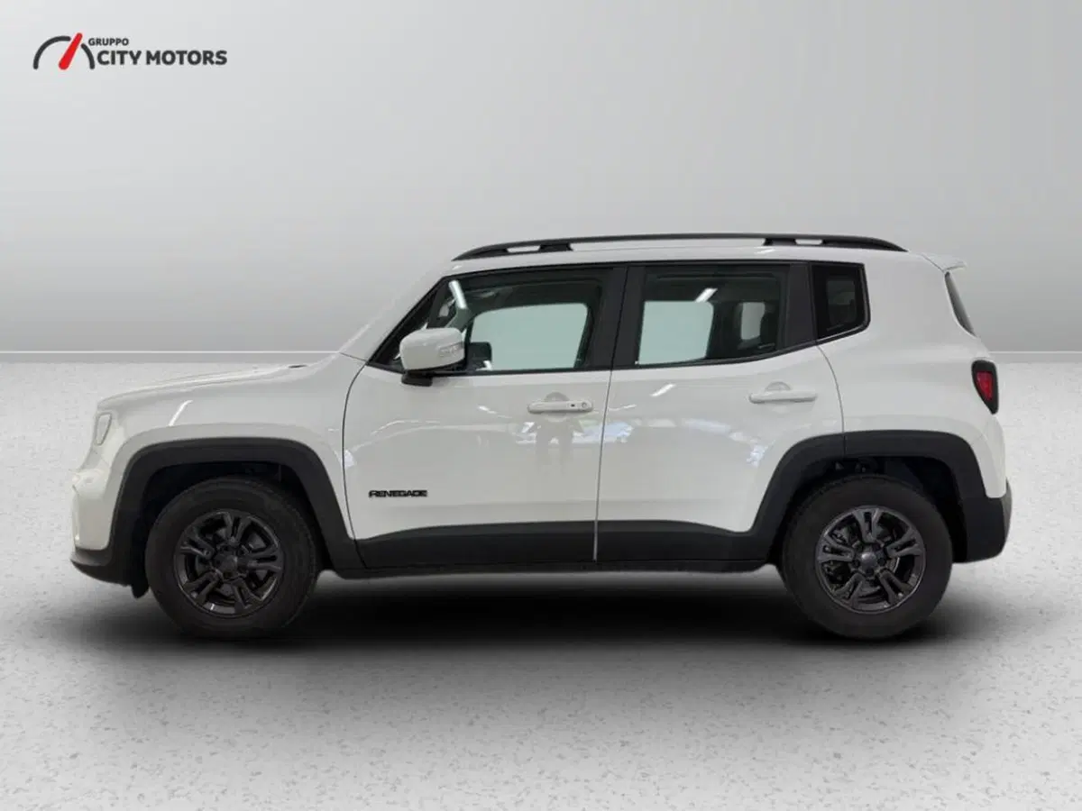 Jeep Renegade usata a Monza e Brianza (3)