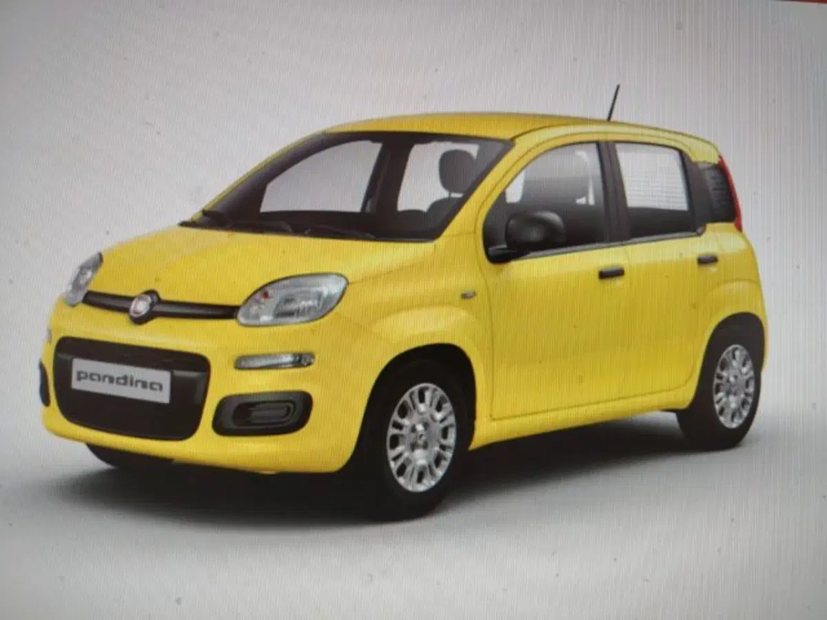 Fiat Panda nuova a Forlì-Cesena