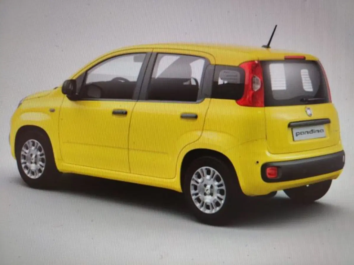 Fiat Panda nuova a Forlì-Cesena (2)