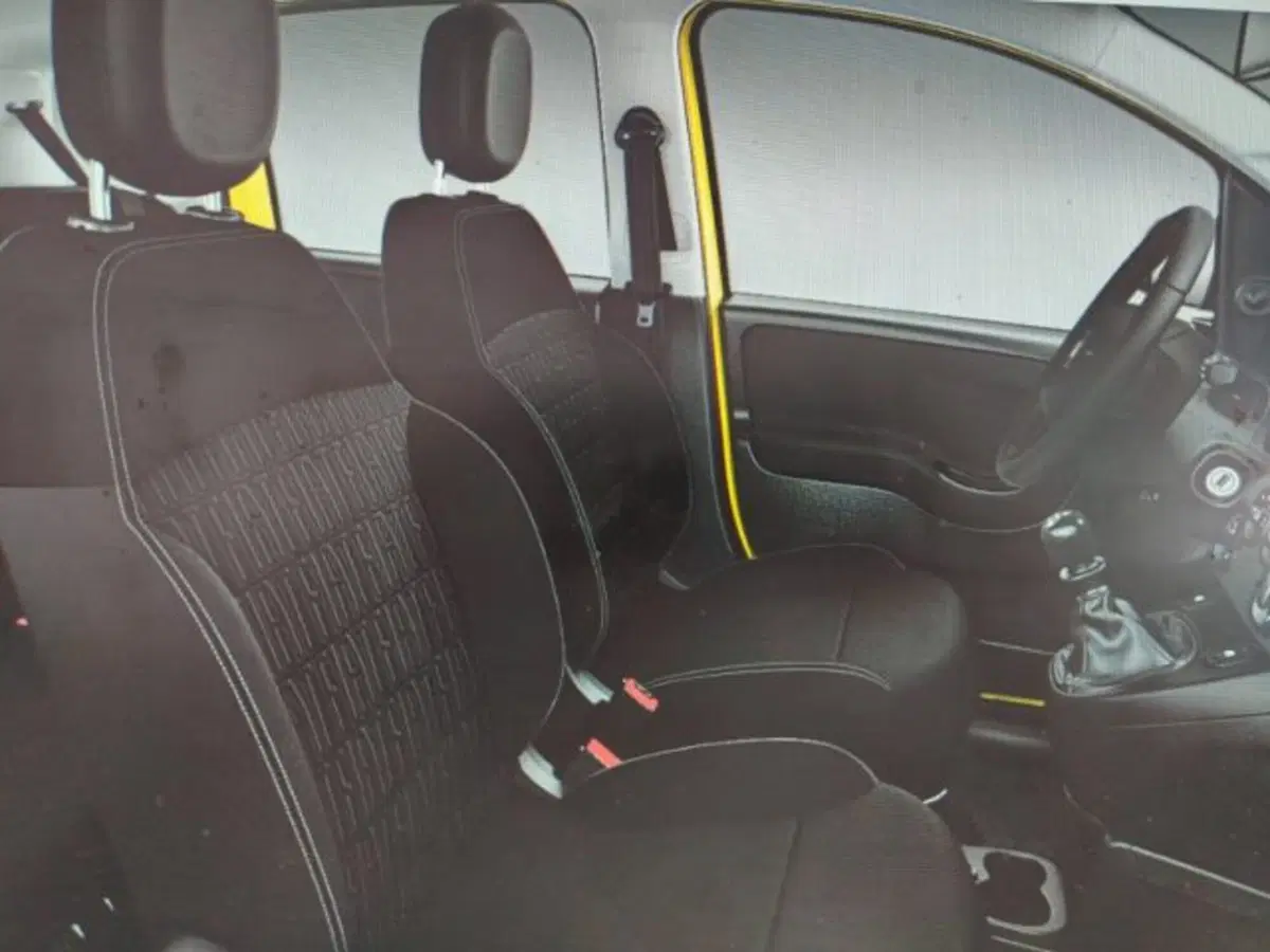 Fiat Panda nuova a Forlì-Cesena (5)