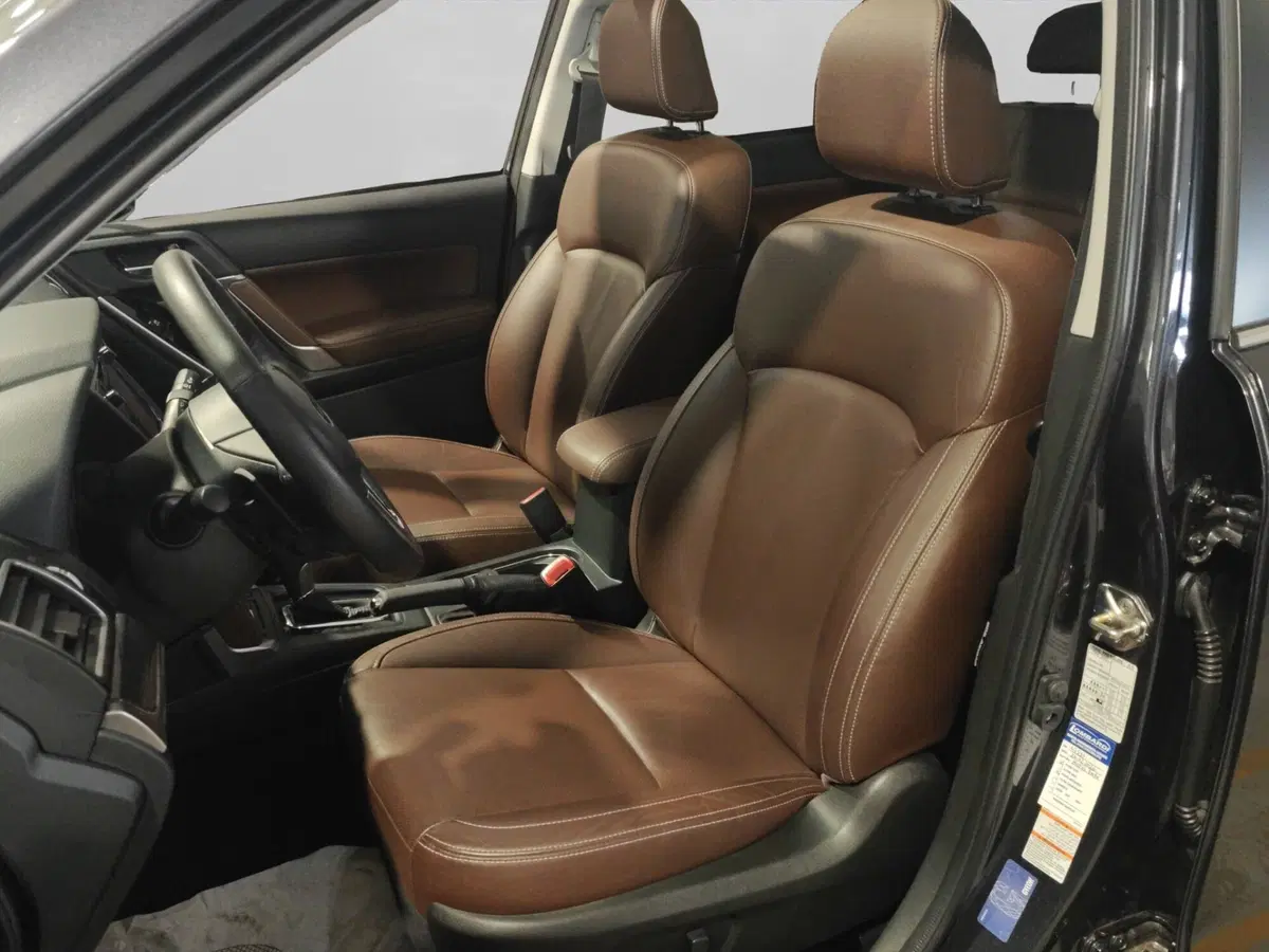 Subaru Forester usata a Genova (9)