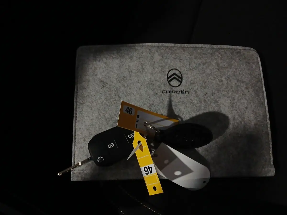 Citroen C3 Aircross usata a Genova (19)