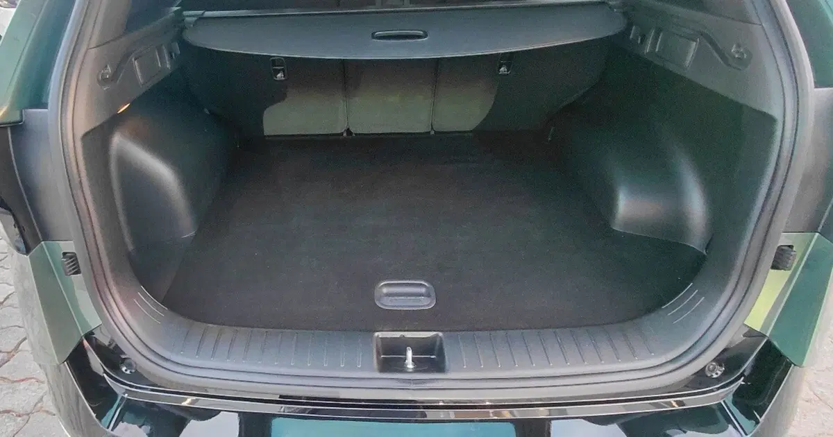 Kia Sportage usata a Cosenza (15)