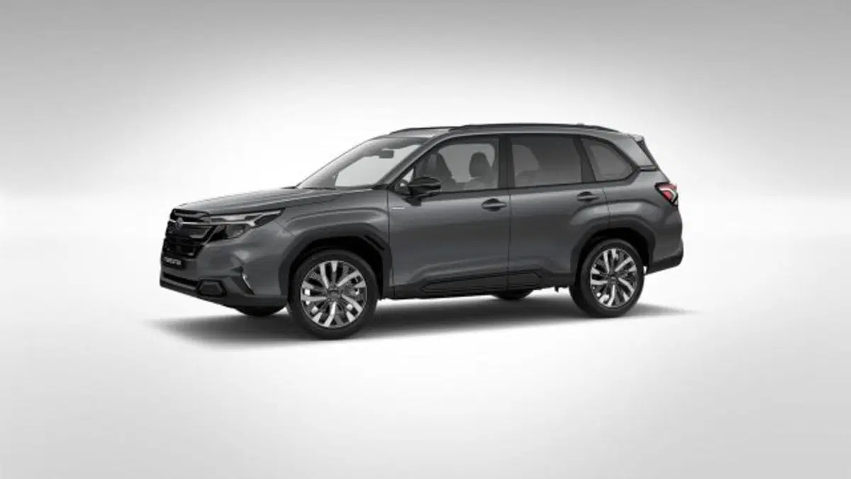 Subaru Forester nuova a Novara (2)