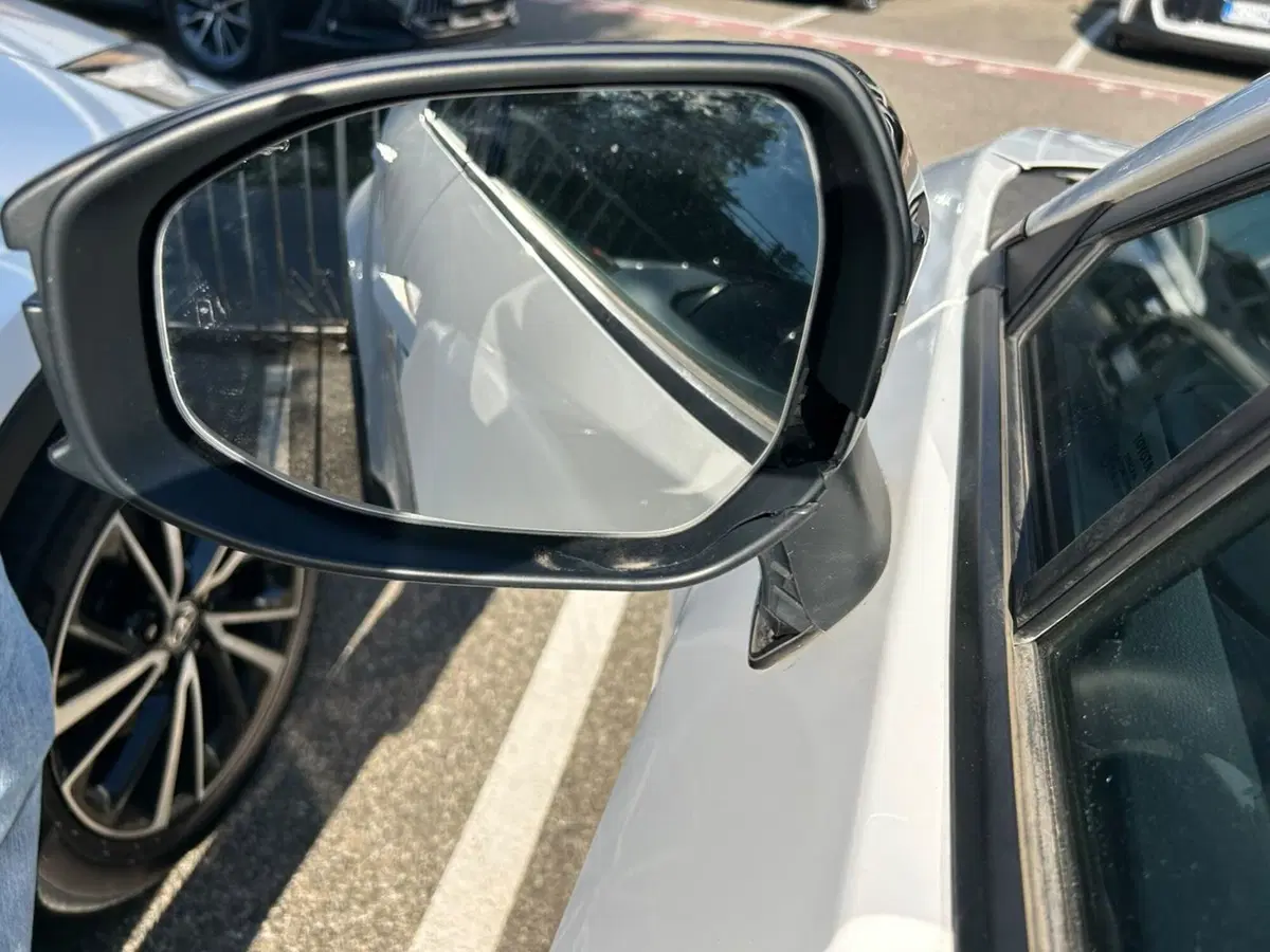 Toyota Toyota C-HR usata a Piacenza (16)