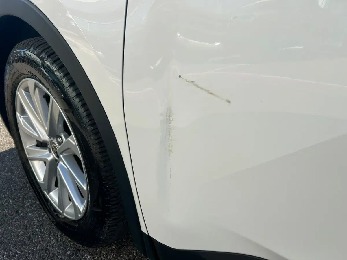Toyota Toyota C-HR usata a Piacenza (7)